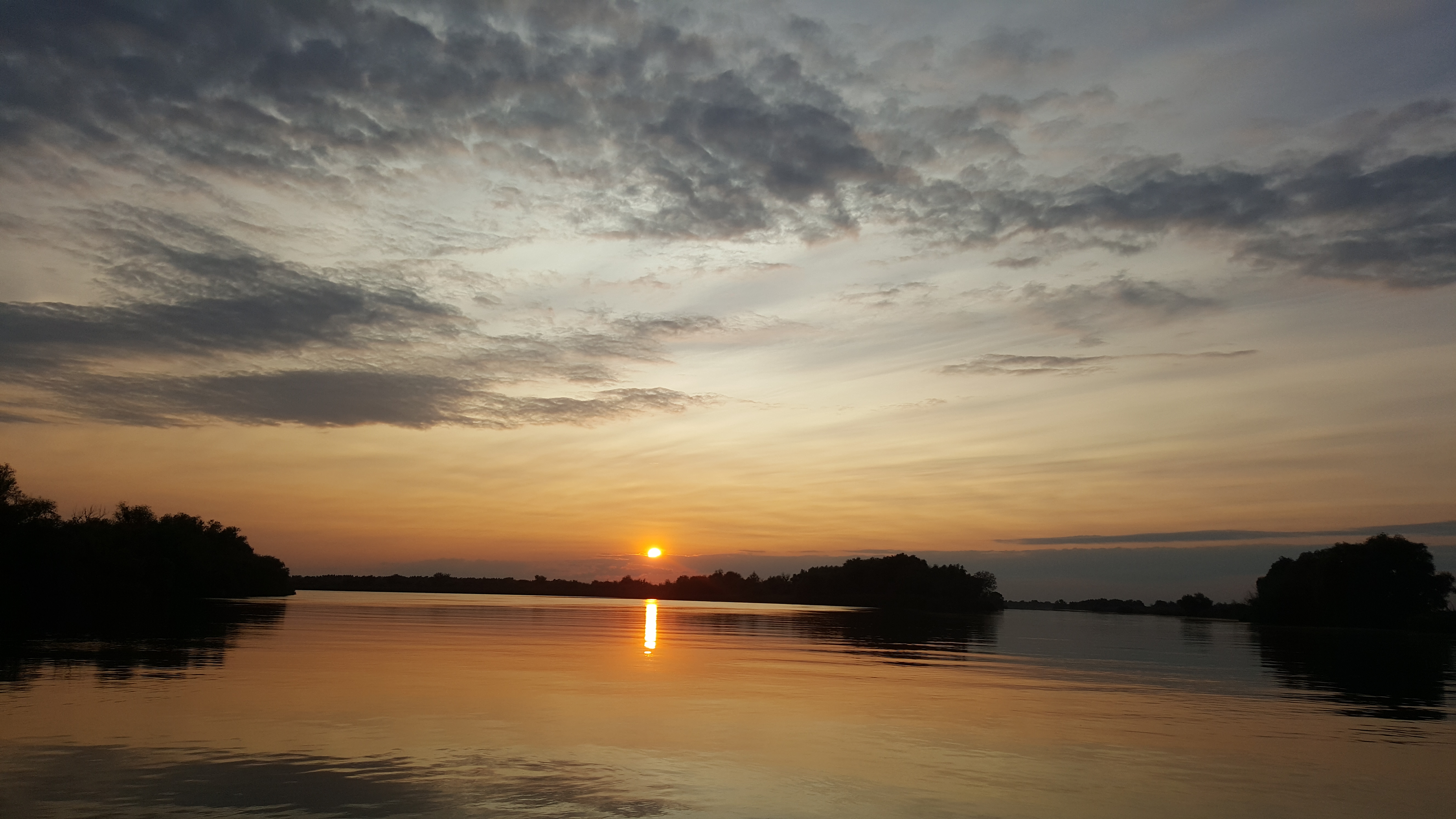 Apus pe bratul Sf. Gheorghe